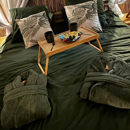 Apartamento Jungle Toulouse